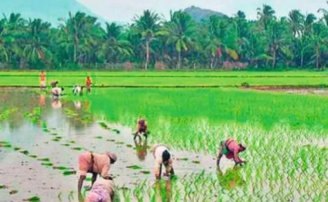 YSR Free Crop Insurance Payment Will Be Made Tomorrow - Sakshi