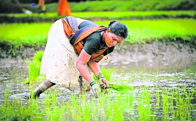 AP Govt spends on agriculture and allied sectors 70percent in Employment Guarantee Works - Sakshi