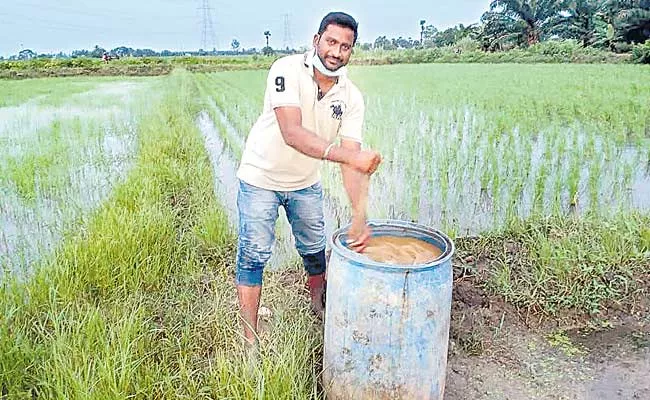 Garapati Vijayakumar Farming H‌ybrid Seedlings In East Godavari District - Sakshi