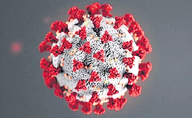 IIT-Madras closed temporarily following major outbreak of corona virus - Sakshi