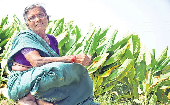 Woman Farmer: Nirmal Narsavva Talking About Her Yello Corp - Sakshi