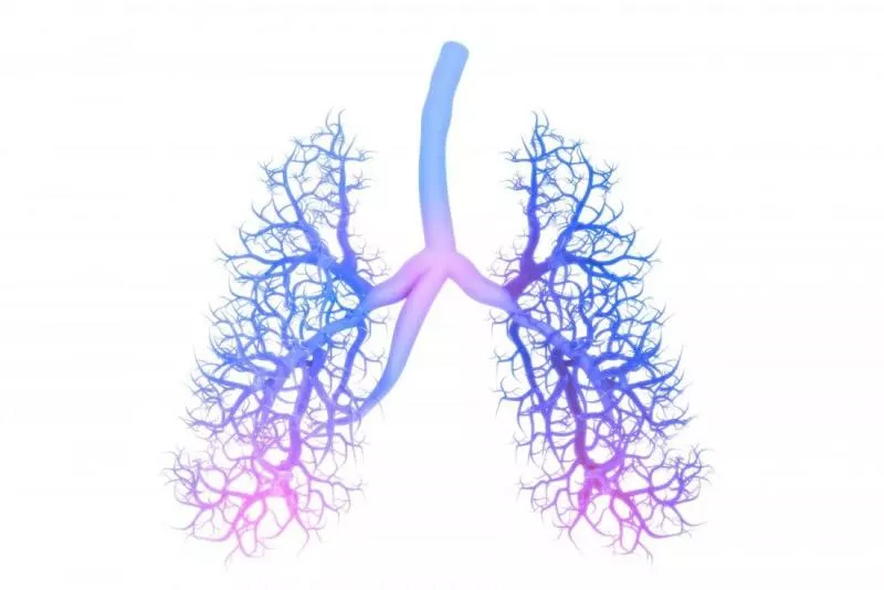 Pandemic Time How To Protect And Clean Lungs - Sakshi