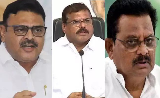 Minister Botsa Satyanarayana Comments On Chandrababu - Sakshi