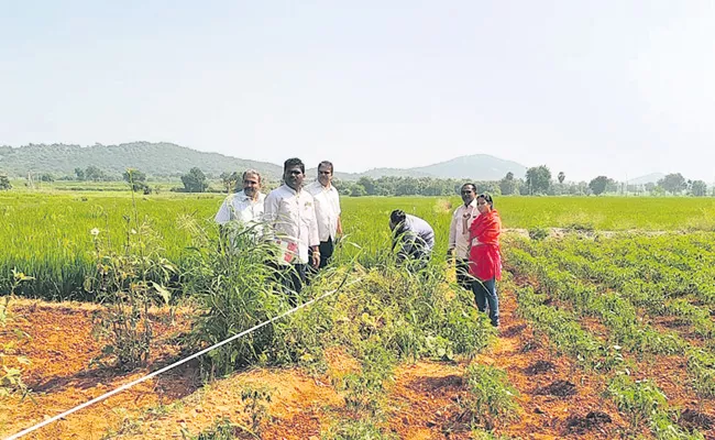 Takkellapadu Village: Land Resurvey in Andhra Pradesh - Sakshi