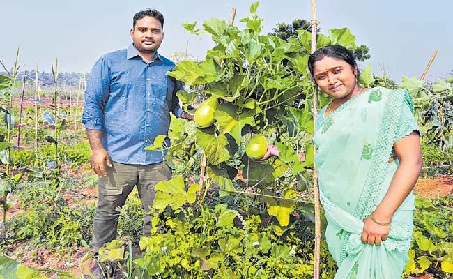 Lingala Shankar‌ Young Farmer Over Natural Farming In Vizianagaram - Sakshi