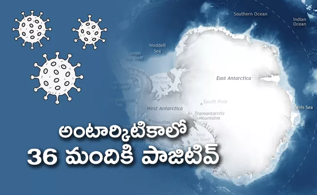 Coronavirus Reaches Antarctica As First Outbreak Hits - Sakshi