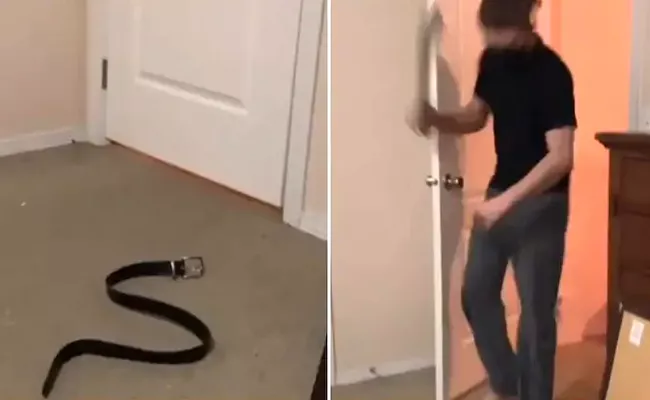 Wife Plays Prank On Husband With Fake Snake Goes Viral - Sakshi