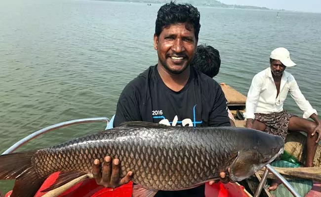 Madduvalasa Fishes Famous In Srikakulam District - Sakshi