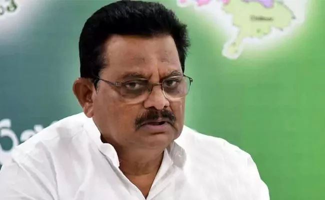 Minister Sri Ranganatha Raju Comments On Chandrababu - Sakshi