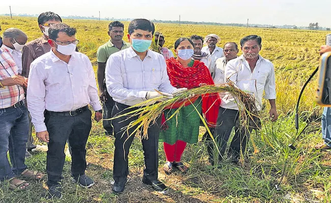 ‌Kona Shashidhar Comments On Nivar Cyclone Effected Crop - Sakshi