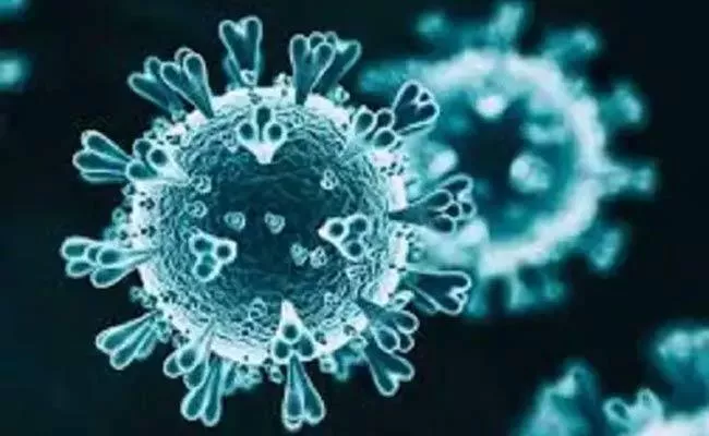 United Kingdom Covid Mutant Virus 25 Cases Detected in India - Sakshi