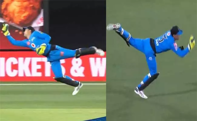 Watch Video Of Alex Carey Stunning Catch In BBL 2020 - Sakshi