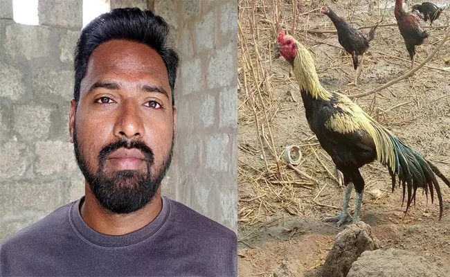 Software Engineer Shaik Basha Turns To Poultry Farm Owner - Sakshi