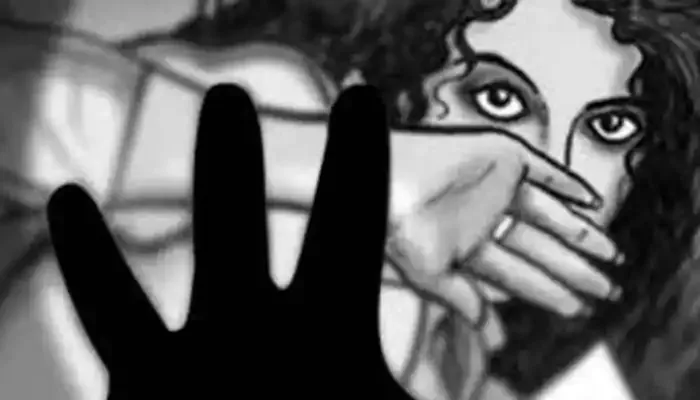 Woman Molested Inside Train In Tamilnadu - Sakshi