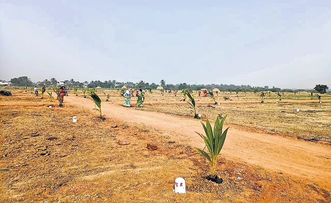 Housing Rails Distribution For the Poor Continued Its 19th Day In AP - Sakshi