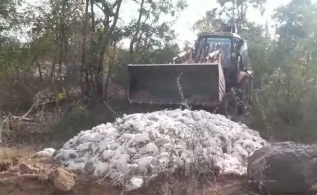 Bird Flu Tension In Nizamabad After Chickens Died In Poultry Farm‌ - Sakshi