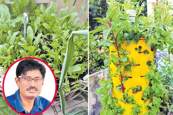 Huge House cultivation in Cities and Towns - Sakshi