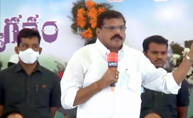 Minister Botsa Satyanarayana Slams Bjp Chief Somu Veerraju - Sakshi