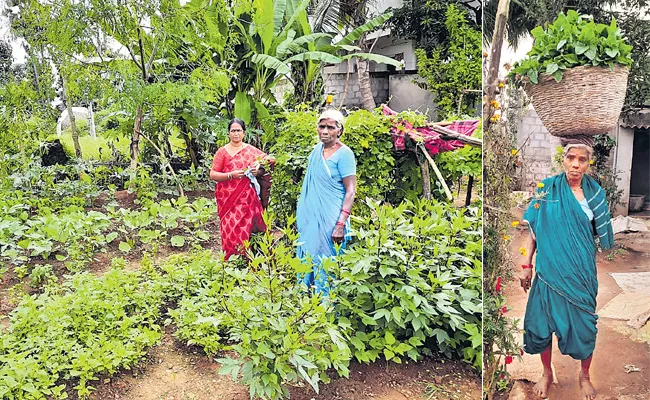 Manikala Tirupatamma Evergreen Farmer Special Story - Sakshi