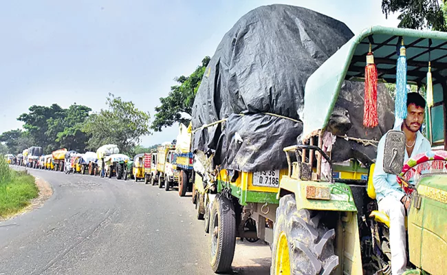 Cotton yields reduced by more than half - Sakshi