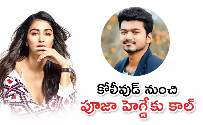 Vijay Next Movie Will Have Pooja Hegde As The Female Lead - Sakshi