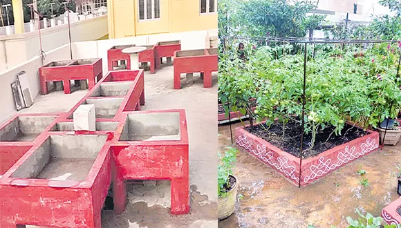 Terrace Garden Is New Status Symbol - Sakshi