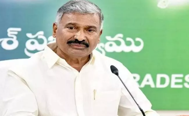 Minister Peddireddy Ramachandra Reddy Comments On Chandrababu - Sakshi