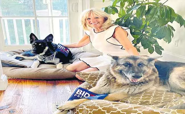 Bidens 2 Dogs Settle In At White House - Sakshi