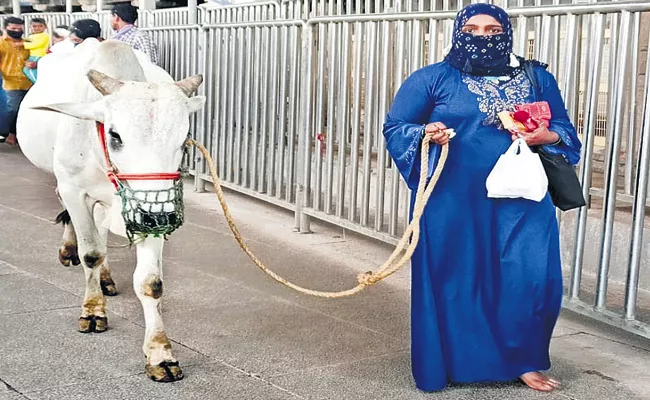 Muslim Woman Gifted Bull To Vemulawada Rajanna - Sakshi