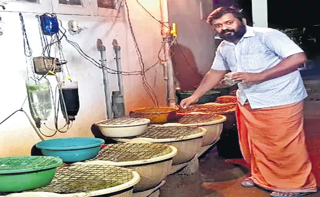 Kerala Man Employment With Guppy Fish Breeding - Sakshi