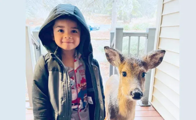 Viral Pic Of 4 Year Old Boy Come With Deer While Playing Outside - Sakshi