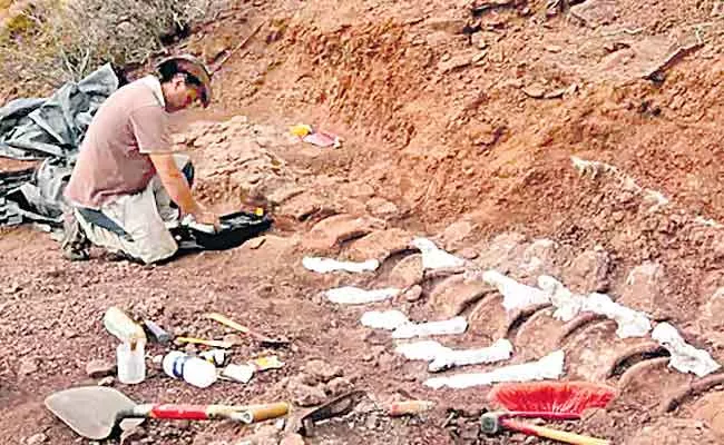 Largest Dinosaur Fossil Argentina - Sakshi