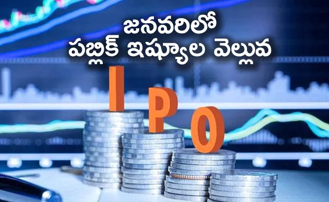 15 IPOs in 2021- 6 issues in January - Sakshi