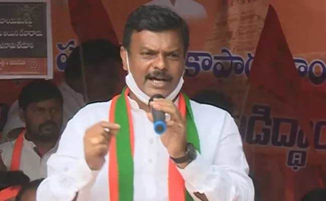 BJP Leaders Comments On Chandrababu - Sakshi