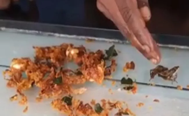 Frog In Onion Pakoda In Kuppam, Chittoor - Sakshi