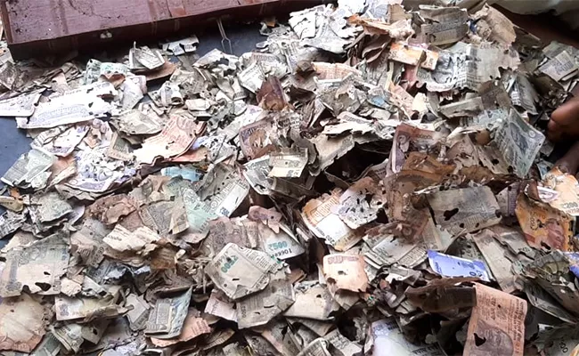 Termites eat up currency worth Rs 5 Lakhs At Mylavaram - Sakshi