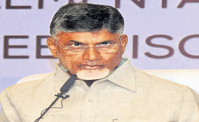 Chandrababu Comments On Privatization - Sakshi