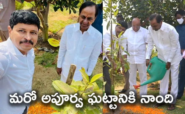 CM KCR 67th Birthday: Highlights Of One Crore Tree Plantation Programme - Sakshi