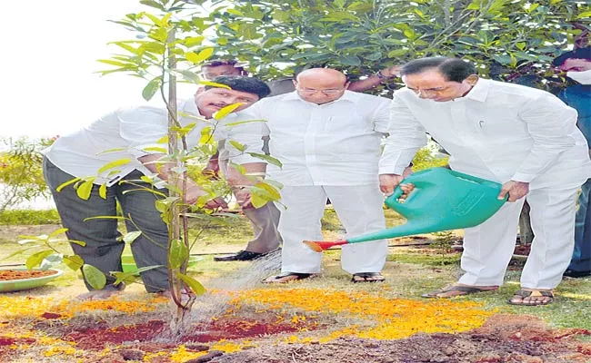 CM KCR Planted Rudraksha Plant In Farm House As Part Of Koti Vriksharchana - Sakshi