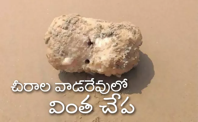 Chirala Vadarevu Is Strange Fish In Coastal Area - Sakshi