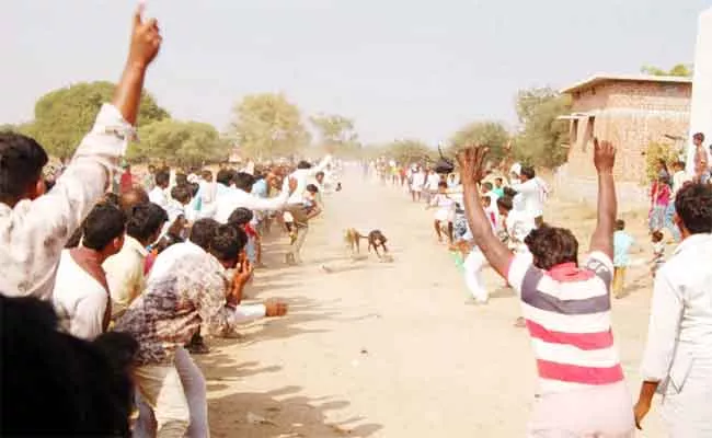 Dog Race In Mahabubnagar District - Sakshi