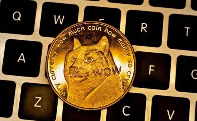 Dogecoin Explosion 1000 Percent after WallStreetBets Pump - Sakshi