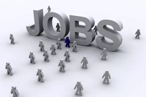 Jobs In Record Levels In January 2021 - Sakshi