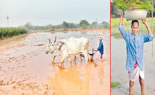 Woman Farmer Manchala Yellavva Success Story - Sakshi