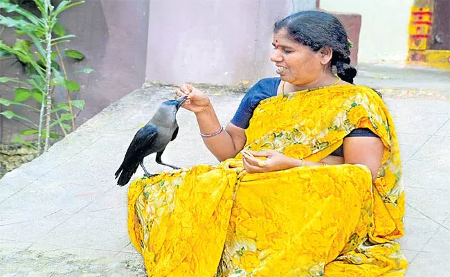 Women Takes Care Of Crow In Khammam - Sakshi