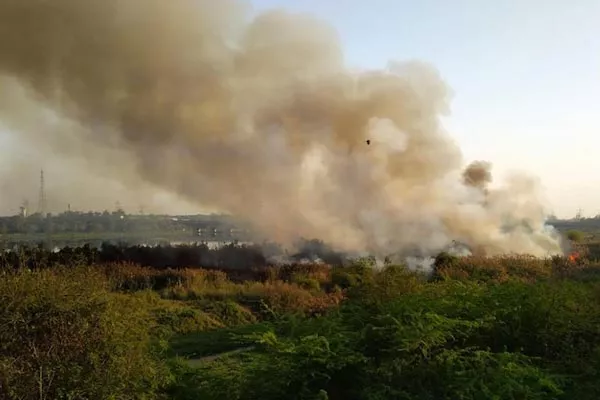 New Delhi: Bush Fire Yamuna River Basin Near By Rajghat - Sakshi