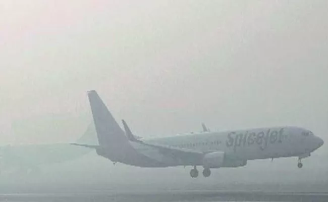 Flights at Gannavaram Airport Delayed | Due to Thick Fog - Sakshi