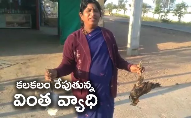 Mystery Disease Fear In Vikarabad District - Sakshi