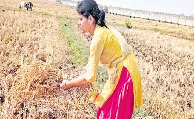 Going Beyond Gender Roles, Wonder Girl Turns Crisis Into Opportunity On Odisha - Sakshi