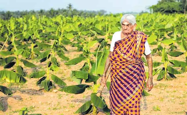 Padma Shri Grandma Pappammal Organic Farming In Coimbatore - Sakshi